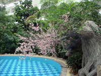 ̫�O������^һ��