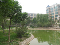 ̫�O������^