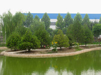 �������C��̫�O