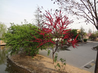 ̫�O������^