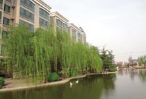 �h(hu��n)����(y��u)�����C������̫�O��