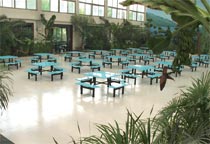 ��ͬ�r�ݼ{500�˾Ͳ͵������B(t��i)�͏d