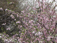 ̫�O�²����O�乫˾���쾰ɫ