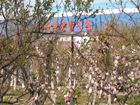 ̫�O�²����O�乫˾���쾰ɫ