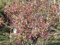 ̫�O�²����O�乫˾���쾰ɫ