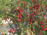 ̫�O�²����O�乫˾���쾰ɫ