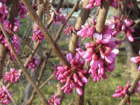 ̫�O�²����O�乫˾���쾰ɫ