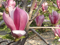 ̫�O�²����O�乫˾���쾰ɫ