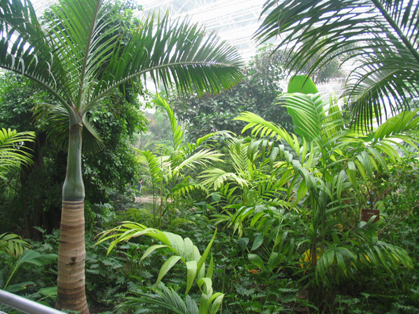 ̫�O�²����O�乫˾